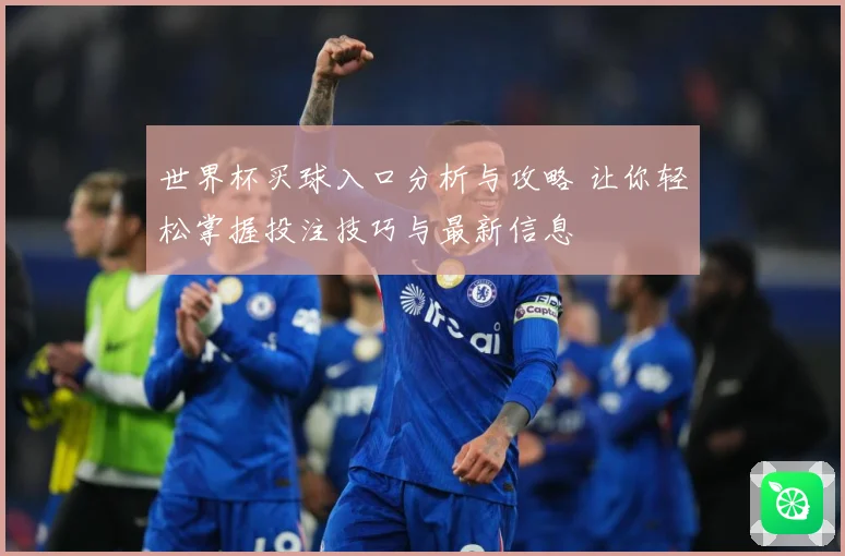 世界杯买球入口分析与攻略 让你轻松掌握投注技巧与最新信息