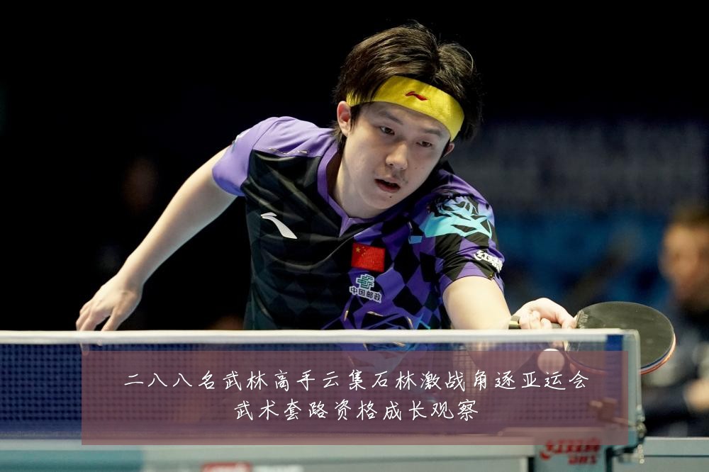 二八八名武林高手云集石林激战角逐亚运会武术套路资格成长观察