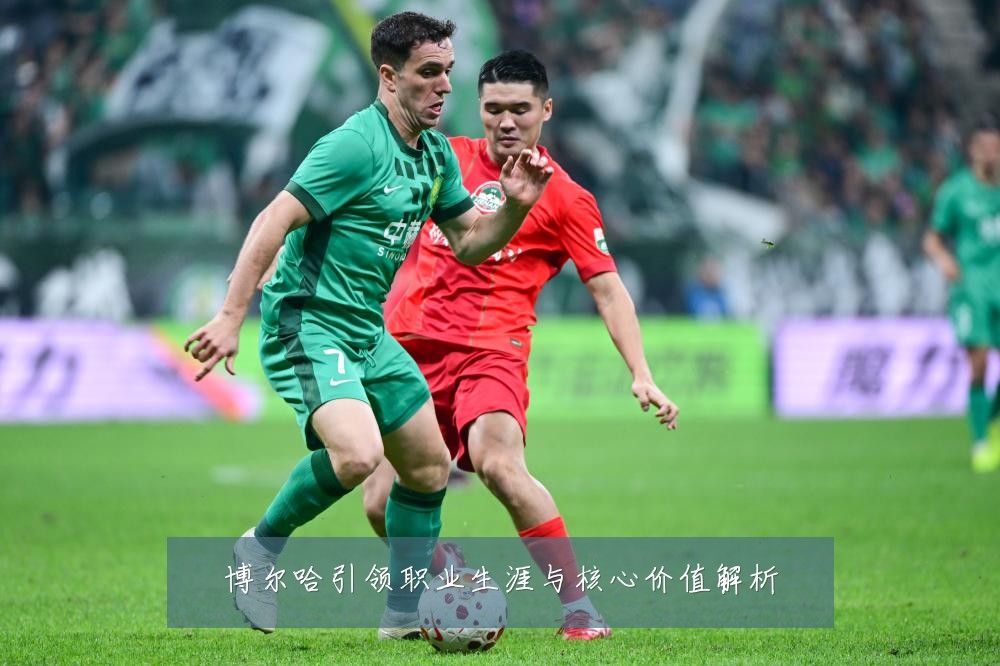 博尔哈引领职业生涯与核心价值解析