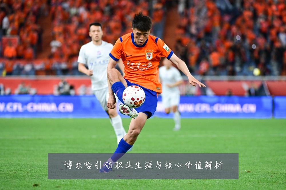 博尔哈引领职业生涯与核心价值解析